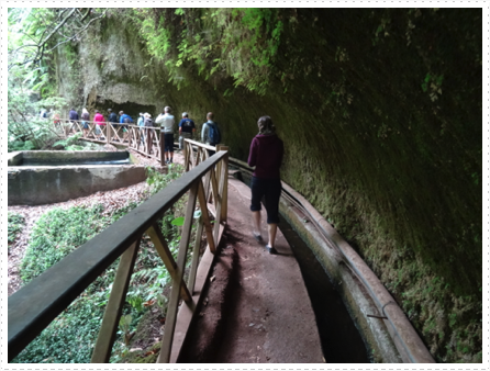 Walking to the waterfall in La Palma Walking to the waterfall in La Palma